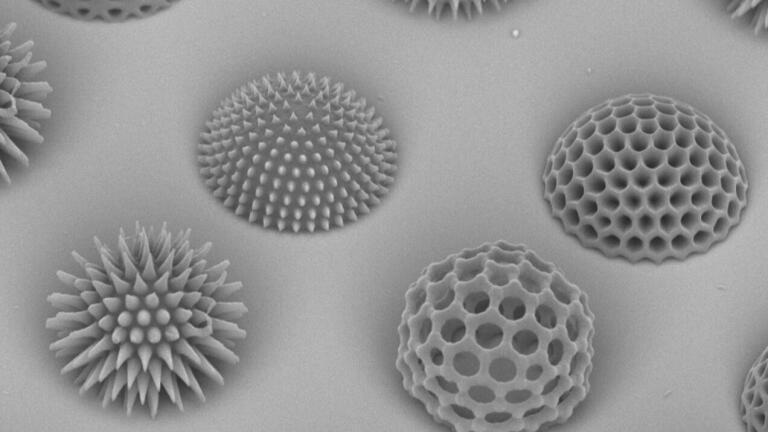 Dr Qin Hu, University of Nottingham (Wonderlandballs in small world) 1st Innovation